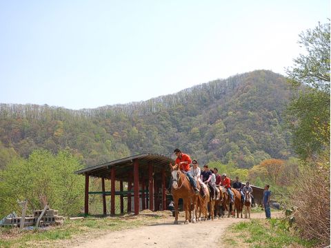 札幌発！小樽で乗馬体験 「春香ホースランチ」で海を一望できる乗馬体験♪＜4～11月／送迎付／札幌発＞