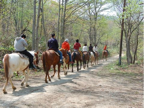 札幌発！小樽で乗馬体験 「春香ホースランチ」で海を一望できる乗馬体験♪＜4～11月／送迎付／札幌発＞