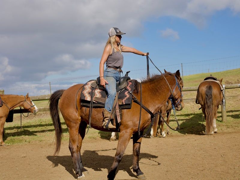 自転車／乗馬／ATV（バギー） | ハワイ島 旅行の観光・オプショナル