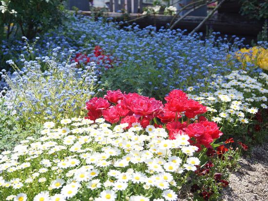 Japan_Mie_農業公園ベルファーム_pixta_78029719_M