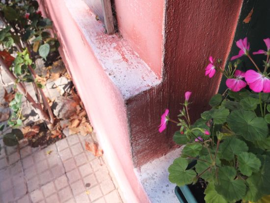 ウルグアイの世界遺産 コロニア・デル・サクラメント 日帰り貸切ツアー＜英語ガイド／専用車／ブエノスアイレス発＞