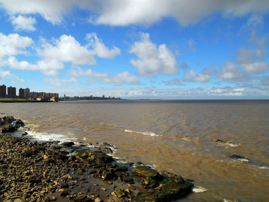 ウルグアイの首都・モンテビデオ 日帰り貸切ツアー＜英語ガイド／専用車／ブエノスアイレス発＞
