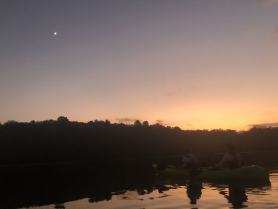 仲間川マングローブカヤックサンセットツアー　宿泊しているからこそ見ることのできる景色を満喫！＜大原港・大富漁港・東部地区ホテル無料送迎／西表島＞