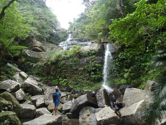 仲間川マングローブカヤック+トレッキングツアー　川遊びもしてリフレッシュ！＜1日／昼食付き／大原港または東部地区ホテル無料送迎／西表島＞