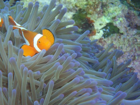 ガイド貸切ツアー　一日一組限定　海でも山でもキャンプでも！やりたいことが全部叶うオリジナルツアー＜市街地送迎可＞