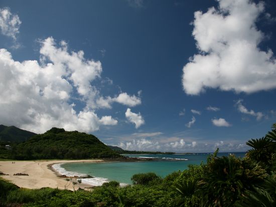 長寿と子宝の島 集落散歩ツアー 地元の方と交流し里の魅力を発見 ＜環境保全への貢献活動付き／半日＞ by NPO法人徳之島虹の会