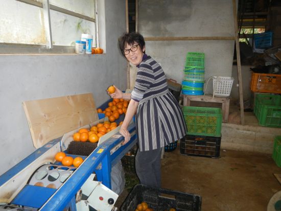 徳之島を支える農作業を通して島の暮らしを体験！ 地元の方と触れ合い交流も＜環境保全への貢献活動付き／半日＞ by NPO法人徳之島虹の会