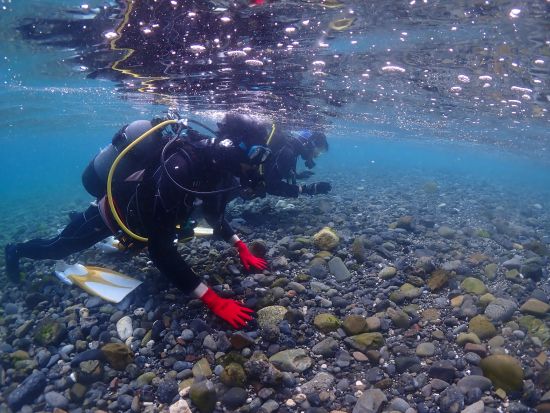 初心者専門店｜3プランから選べる体験ダイビング｜ウミガメと同じ目線で泳ぐ【ワンランク上】プレミアムは練習無制限＆返金保証 by夢心地