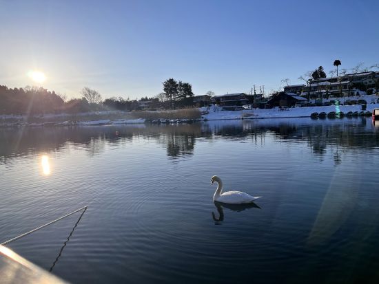 【愛犬連れOK】カナディアンカヌー体験　富士山を眺めながら愛犬と湖上散歩　朝プランや夕方プランもあり＜1時間半／富士河口湖町＞
