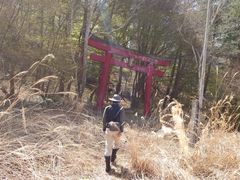 鵜の島上陸