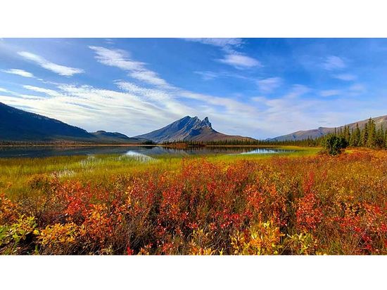 北極圏の名峰スークパック山を北より=20200829_103842_800=NatureImage