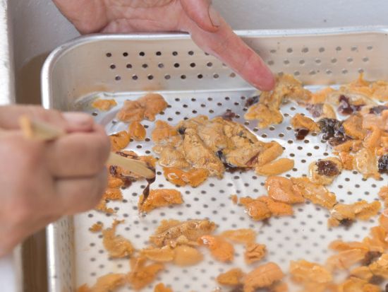 ウニ割り＆ウニ丼づくり体験　ウニを割って、ウニ丼して昼食に！＜6～8月／宇久島＞ by 宇久町観光協会