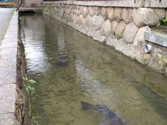 智積養水