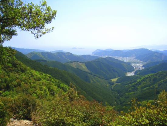 ツヅラト峠3