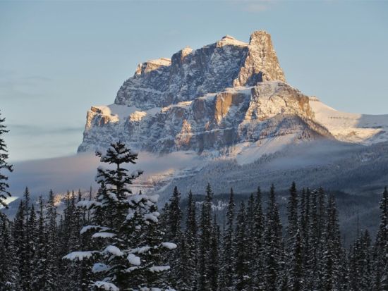 世界遺産カナディアンロッキー コロンビア大氷原＆レイクルイーズ＆アイスフィールドパークウェイ ＜5～10月／日本語ガイド／バンフまたはレイクルイーズ発＞