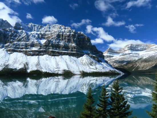 世界遺産カナディアンロッキー コロンビア大氷原＆レイクルイーズ＆アイスフィールドパークウェイ ＜5～10月／日本語ガイド／バンフまたはレイクルイーズ発＞