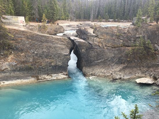 世界遺産カナディアンロッキー ヨーホー国立公園＆モレーン湖＆マーブル渓谷散策 ＜4～10月／日本語／バンフまたはレイクルイーズ発＞