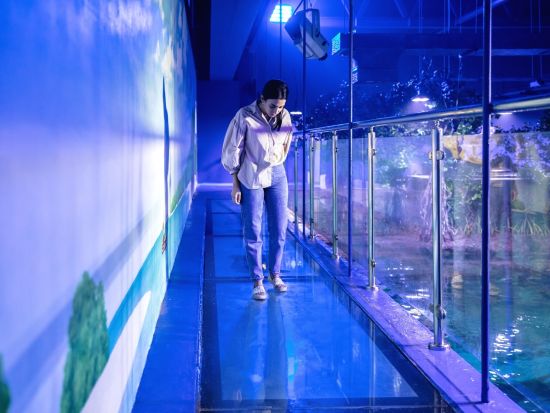 国立水族館アブダビ（National Aquarium Abu Dhabi）入場チケット予約 *選べるオプションあり