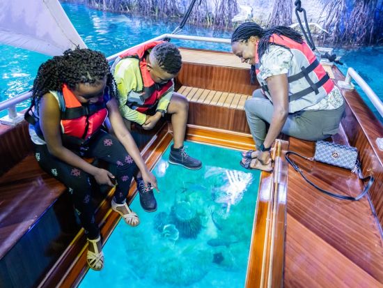 国立水族館アブダビ（National Aquarium Abu Dhabi）入場チケット予約 *選べるオプションあり