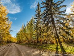 Canadian-Rockies-in-Fall-Colours-03-600
