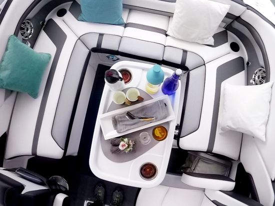 ゆったりとした大人クルーズツアー　お誕生日や記念日におすすめ！ランチやピクニックプランあり＜選べる3コース／浜名湖＞