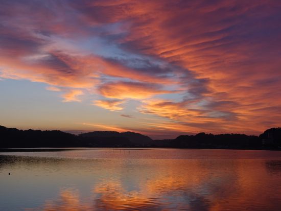 ゆったりとした大人クルーズツアー　お誕生日や記念日におすすめ！ランチやピクニックプランあり＜選べる3コース／浜名湖＞