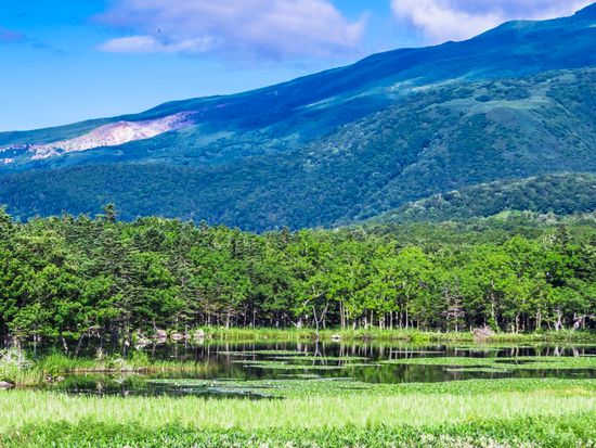 pixta_53780037_M (1)