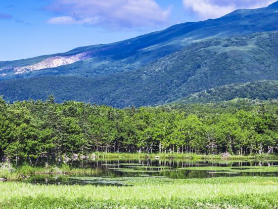 知床浪漫ふれあい号 定期観光日帰りバスツアー 知床五湖・オシンコシンの滝・天に続く道 ウトロと斜里間の移動にも便利＜4～10月／ウトロ温泉or知床斜里発＞