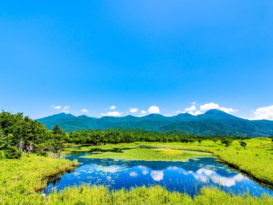 知床浪漫ふれあい号 定期観光日帰りバスツアー 知床五湖・オシンコシンの滝・天に続く道 ウトロと斜里間の移動にも便利＜4～10月／ウトロ温泉or知床斜里発＞