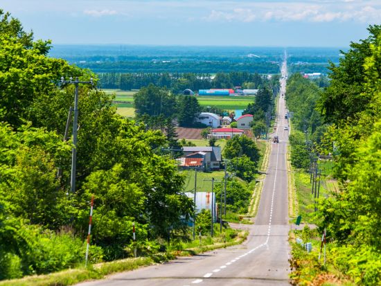 知床浪漫ふれあい号 定期観光日帰りバスツアー 知床五湖・オシンコシンの滝・天に続く道 ウトロと斜里間の移動にも便利＜4～10月／ウトロ温泉or知床斜里発＞