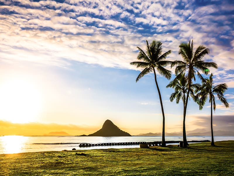 hawaiian island tours from oahu