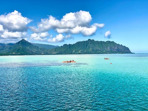 tours by locals oahu