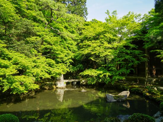 pixta_88641115_蓮華寺