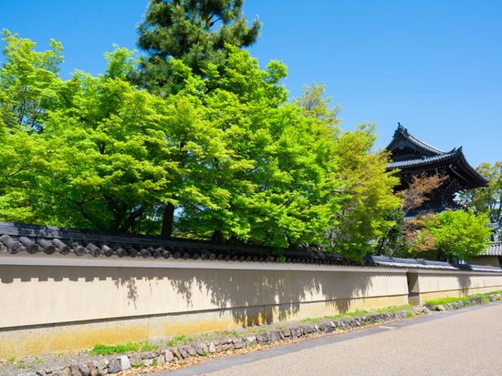 pixta_77873966_清凉寺