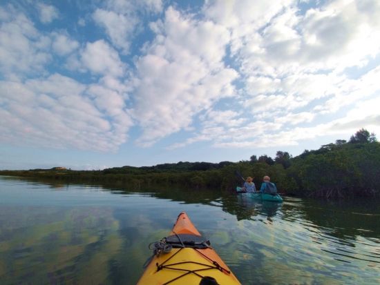 マングローブカヤックツアー　満潮時間に合わせ、小浜島の汽水域でシーカヤックを体験！＜2時間／小浜島＞