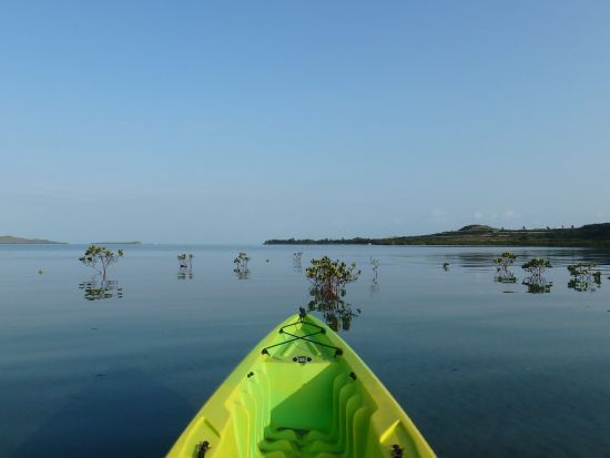 マングローブカヤックツアー　満潮時間に合わせ、小浜島の汽水域でシーカヤックを体験！＜2時間／小浜島＞