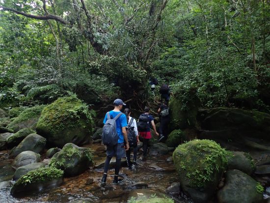 【貸切】西表島の大自然を満喫するプライベートツアー　カヌーやデイキャンプなど自由にアレンジ可能 ＜1日／昼食付き／大原港または送迎あり／西表島＞