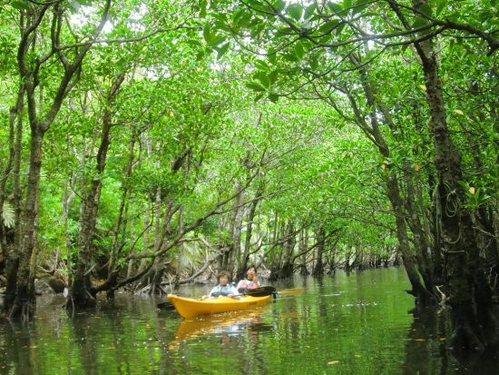 【貸切】西表島の大自然を満喫するプライベートツアー　カヌーやデイキャンプなど自由にアレンジ可能 ＜1日／昼食付き／大原港または送迎あり／西表島＞