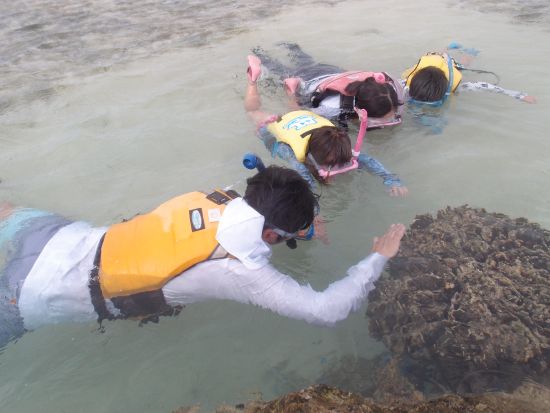 ガイド貸切ツアー　一日一組限定　海でも山でもキャンプでも！やりたいことが全部叶うオリジナルツアー＜市街地送迎可＞