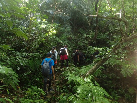 ガイド貸切ツアー　一日一組限定　海でも山でもキャンプでも！やりたいことが全部叶うオリジナルツアー＜市街地送迎可＞
