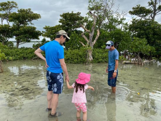 小浜島マングローブ探検ツアー　いろんな生き物が生息する干潟をガイドがご案内！見て、聞いて、体験して自然を感じよう＜1歳から参加OK／2時間／ホテル送迎可＞