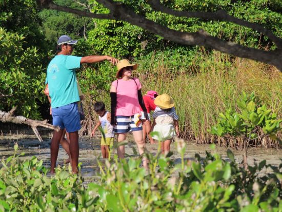 小浜島プライベートツアー　1日1組限定！カヤックやシュノーケリング、自然探検など、オーダーメイドでご案内＜3時間＞