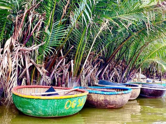 962e164d238eecd0b59f2