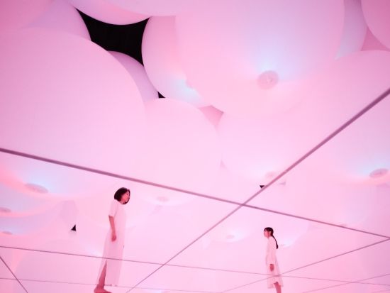 チームラボプラネッツ（teamLab Planets） TOKYO DMM入場チケット 事前予約