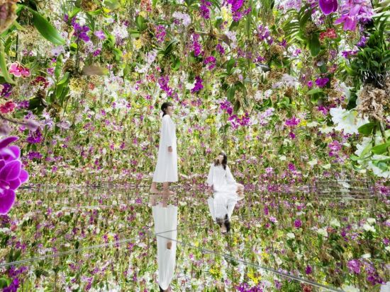 チームラボプラネッツ（teamLab Planets） TOKYO DMM入場チケット 事前予約