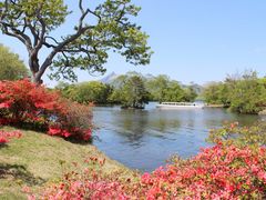 大沼公園2