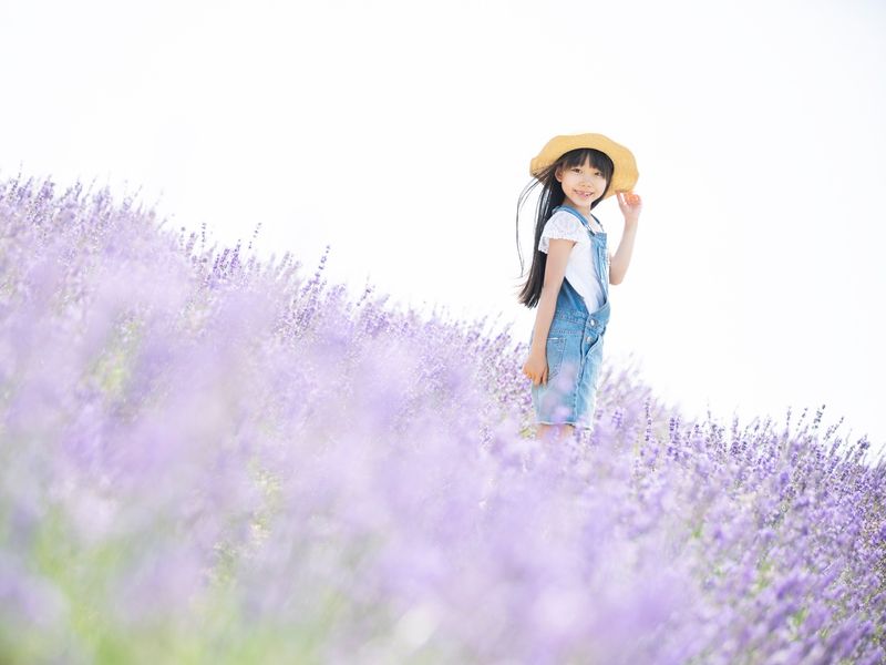 子どもと北海道 富良野 美瑛 旭川の観光 遊び 体験 レジャー専門予約サイト Veltra ベルトラ 子どもと北海道 富良野 美瑛 旭川の観光 遊び 体験 レジャー専門予約サイト Veltra ベルトラ