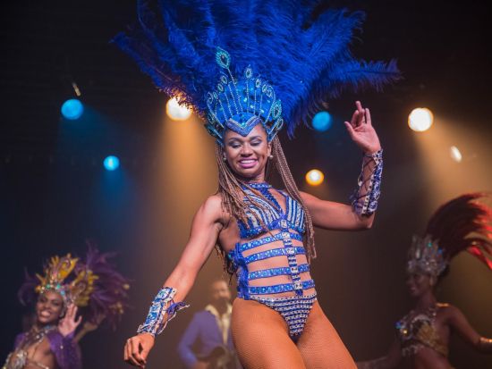 ジンガ・トロピカル カーニバルショー鑑賞ツアー　ブラジルの伝統ダンスで酔いしれるカーニバルな夜＜英語ガイド／送迎付きプランあり／リオ・デ・ジャネイロ発＞