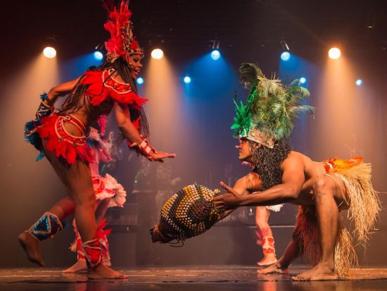 ジンガ・トロピカル カーニバルショー鑑賞ツアー　ブラジルの伝統ダンスで酔いしれるカーニバルな夜＜英語ガイド／送迎付きプランあり／リオ・デ・ジャネイロ発＞