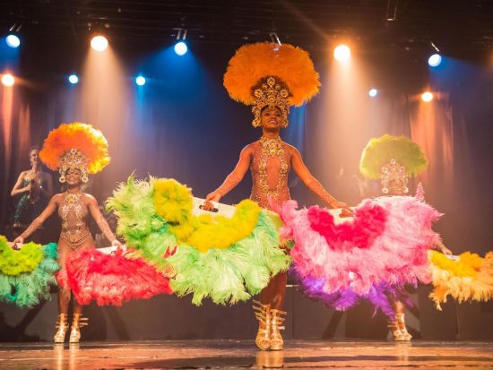 ジンガ・トロピカル カーニバルショー鑑賞ツアー　ブラジルの伝統ダンスで酔いしれるカーニバルな夜＜英語ガイド／送迎付きプランあり／リオ・デ・ジャネイロ発＞